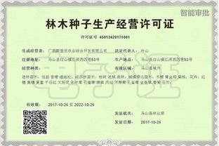 廣西打造24小時(shí) 不打烊 網(wǎng)上政府